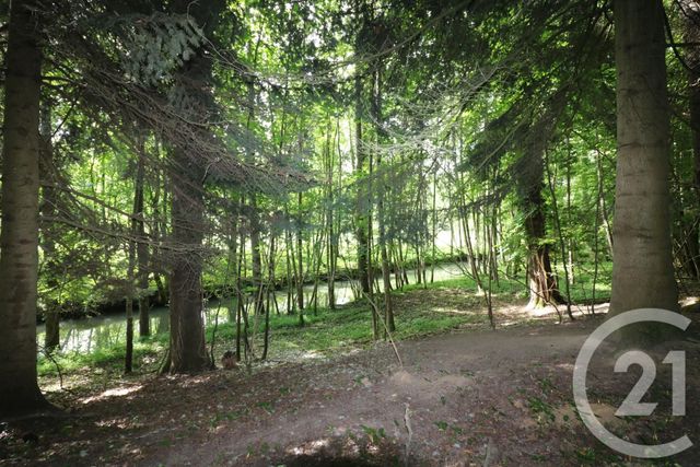 maison à vendre - 9 pièces - 220.0 m2 - MAUPERTHUIS - 77 - ILE-DE-FRANCE - Century 21 A.S.M.