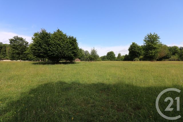 maison à vendre - 9 pièces - 220.0 m2 - MAUPERTHUIS - 77 - ILE-DE-FRANCE - Century 21 A.S.M.