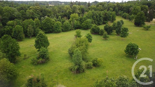 maison à vendre - 9 pièces - 220.0 m2 - MAUPERTHUIS - 77 - ILE-DE-FRANCE - Century 21 A.S.M.