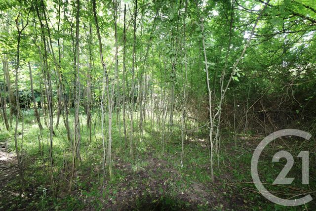 maison à vendre - 9 pièces - 220.0 m2 - MAUPERTHUIS - 77 - ILE-DE-FRANCE - Century 21 A.S.M.