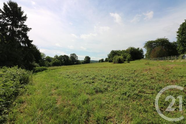 maison à vendre - 9 pièces - 220.0 m2 - MAUPERTHUIS - 77 - ILE-DE-FRANCE - Century 21 A.S.M.