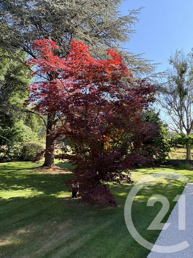 maison à vendre - 6 pièces - 139.08 m2 - BOISSY LE CHATEL - 77 - ILE-DE-FRANCE - Century 21 A.S.M.